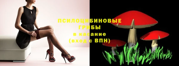 соль ск Балахна