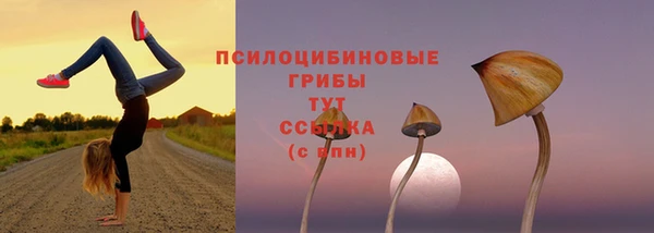 2c-b Пестово