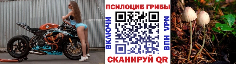 где купить наркоту  Саянск  Галлюциногенные грибы мухоморы 